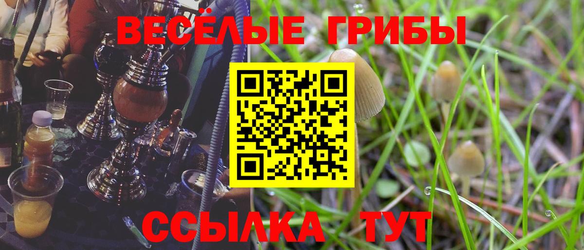 Псилоцибиновые грибы GOLDEN TEACHER Обнинск
